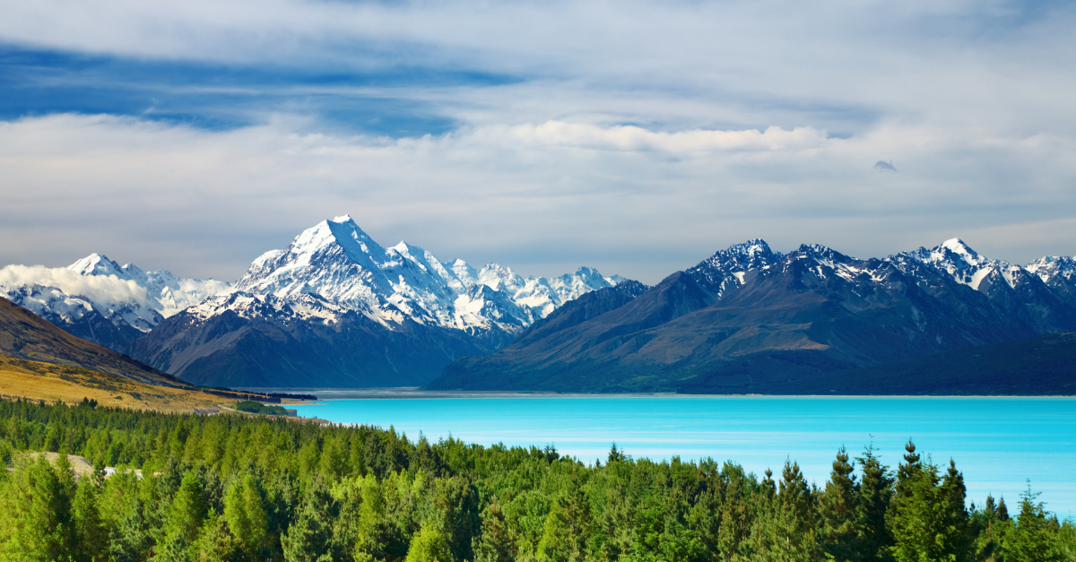 Latest Gambling News: New Zealand Raises Online Gambling Levy By One Third, Flags Review, and more