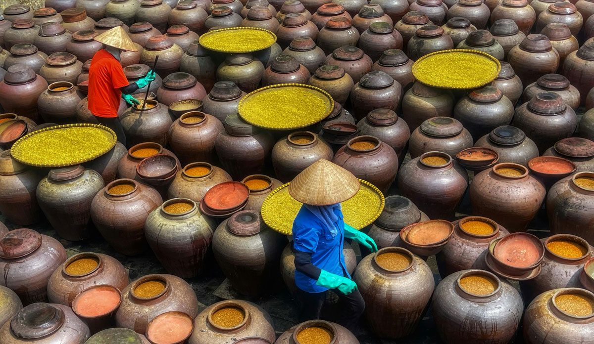 Vietnamese workers in conical hats tending large clay jars filled with fermenting ingredients in a traditional production facility