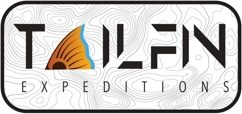 Tailfin Expeditions logo with stylized text and an orange and blue fish tail fin, on a white background with topographic contour lines.