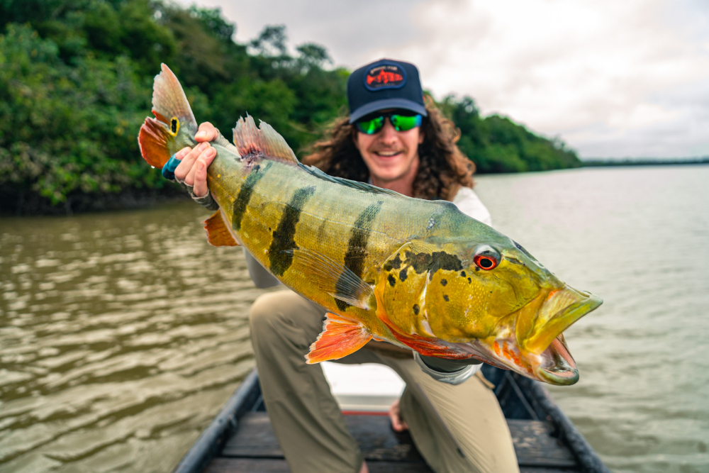 Man holding a Peacock Bass in the Columbian Jungle
