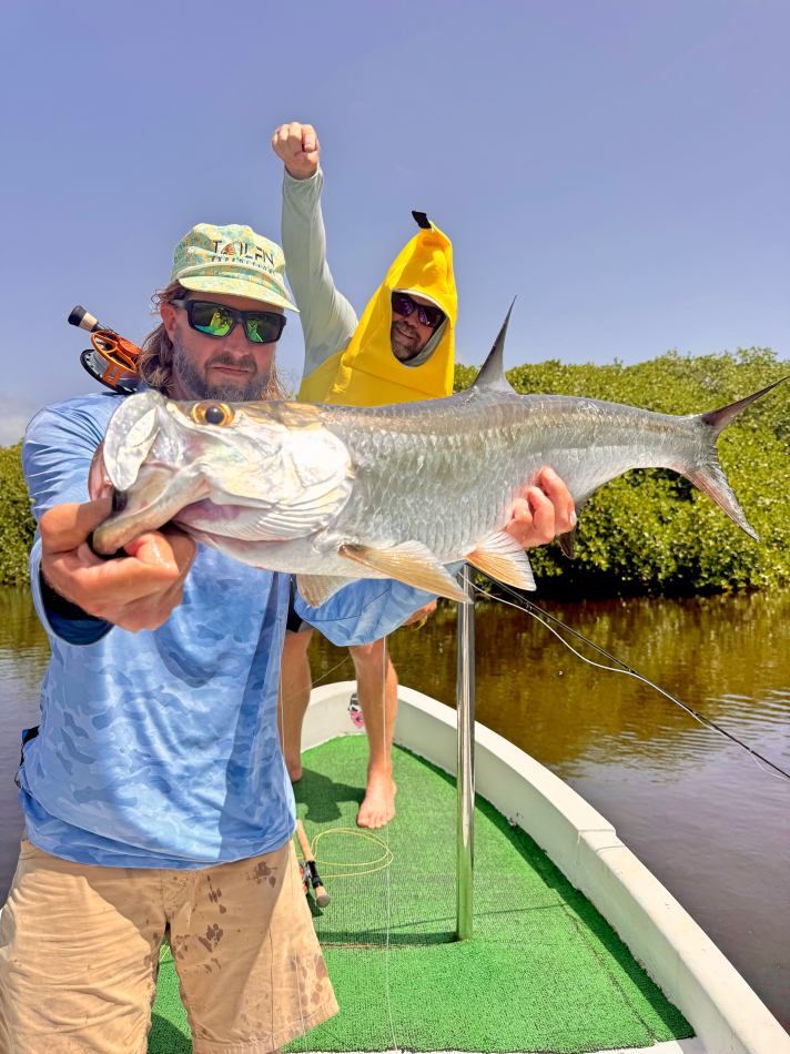 baja roosterfish