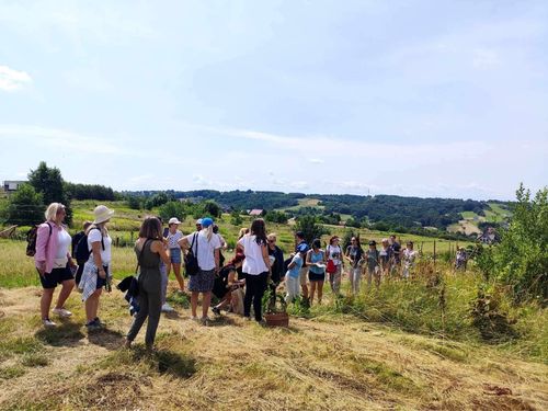 Ziołowy spacer w Rzeszowie z Zielarką z Kampera.