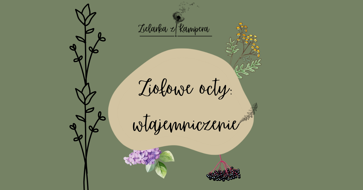 Ziołowe octy : wtajemniczenie!