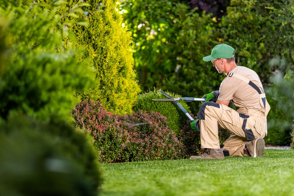 Proactive Summer Maintenance for Multifamily Communities