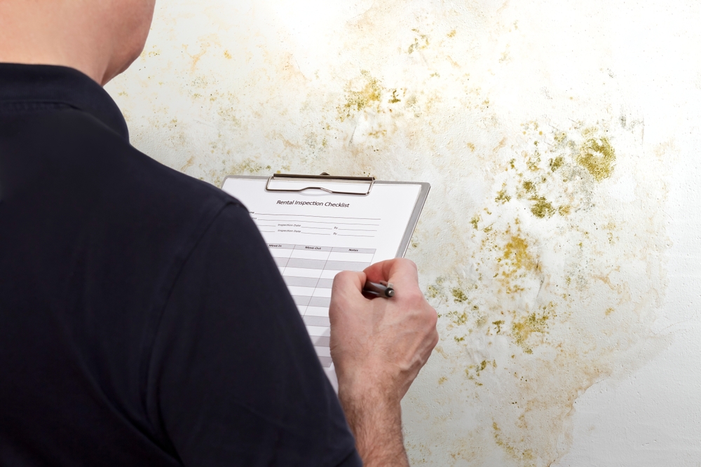 Effective Strategies for Combating Mold in Rental Properties