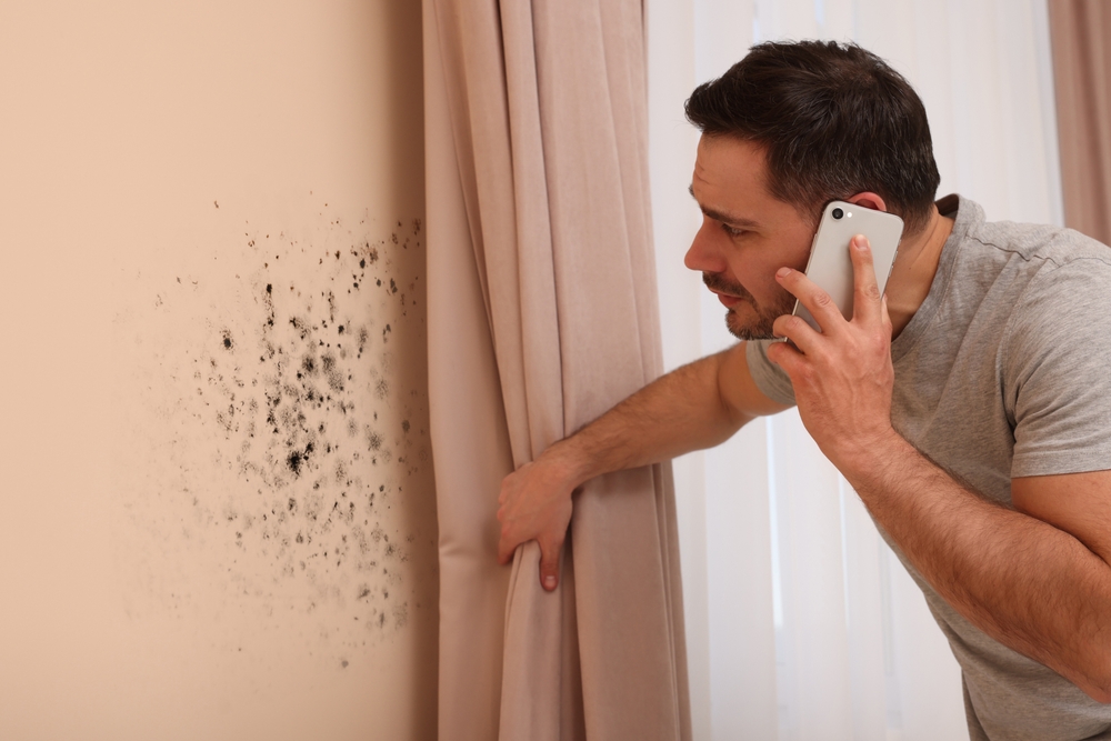 Effective Mold Removal Techniques for Walls