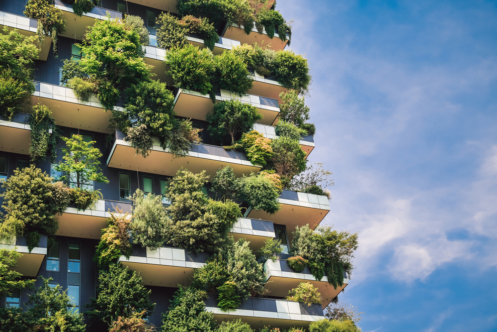 Green Living Tips for Renters