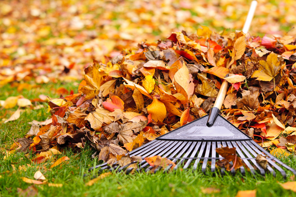 Guide to Fall Maintenance: Preparing Rental Properties for Winter