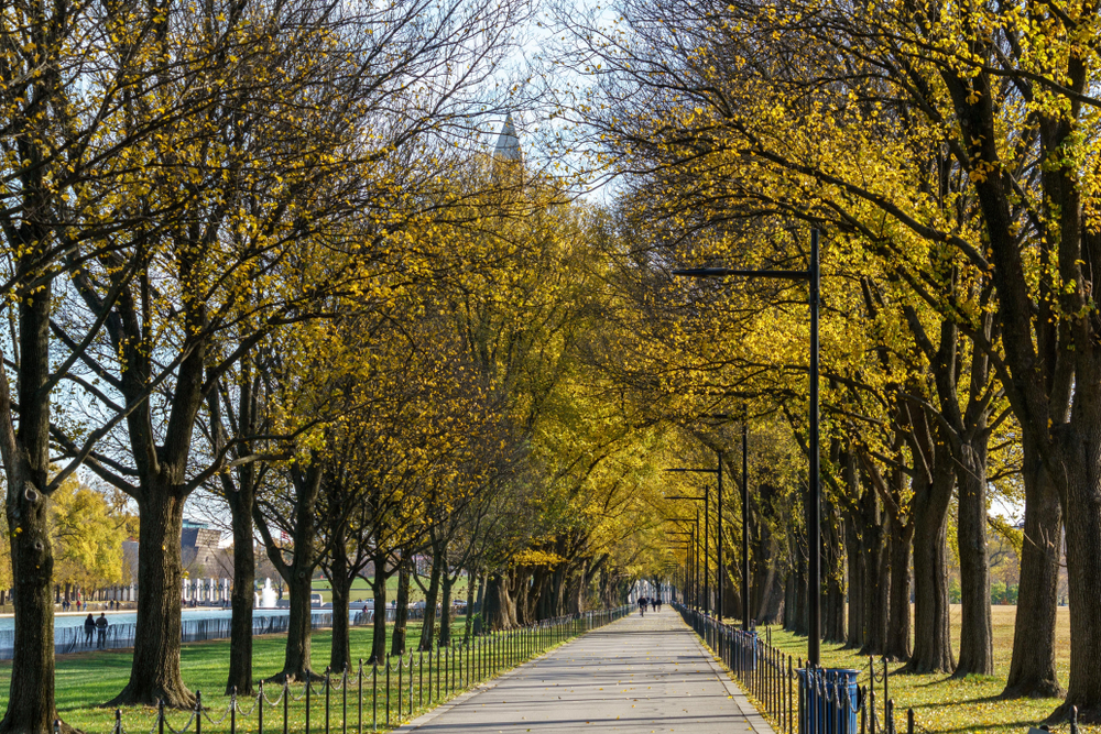 Property Management in Washington DC: Lincoln Park / Capitol Hill East Rental Market Guide for Landlords