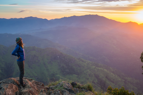 Why Professional Property Management Matters for Out-of-State and Long-Distance Owners