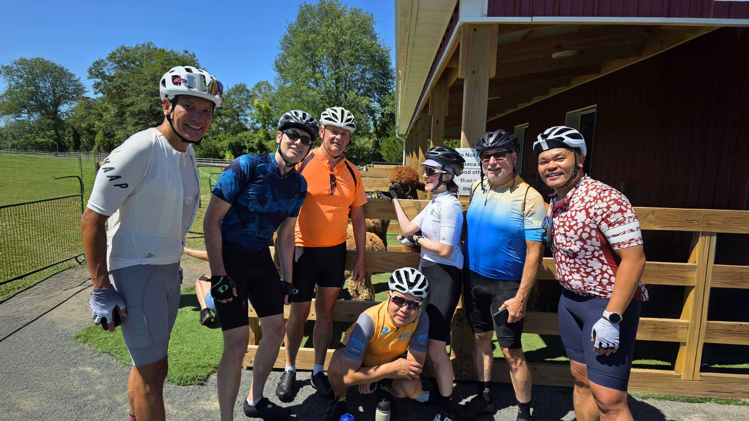 Best cycling rides in NYC