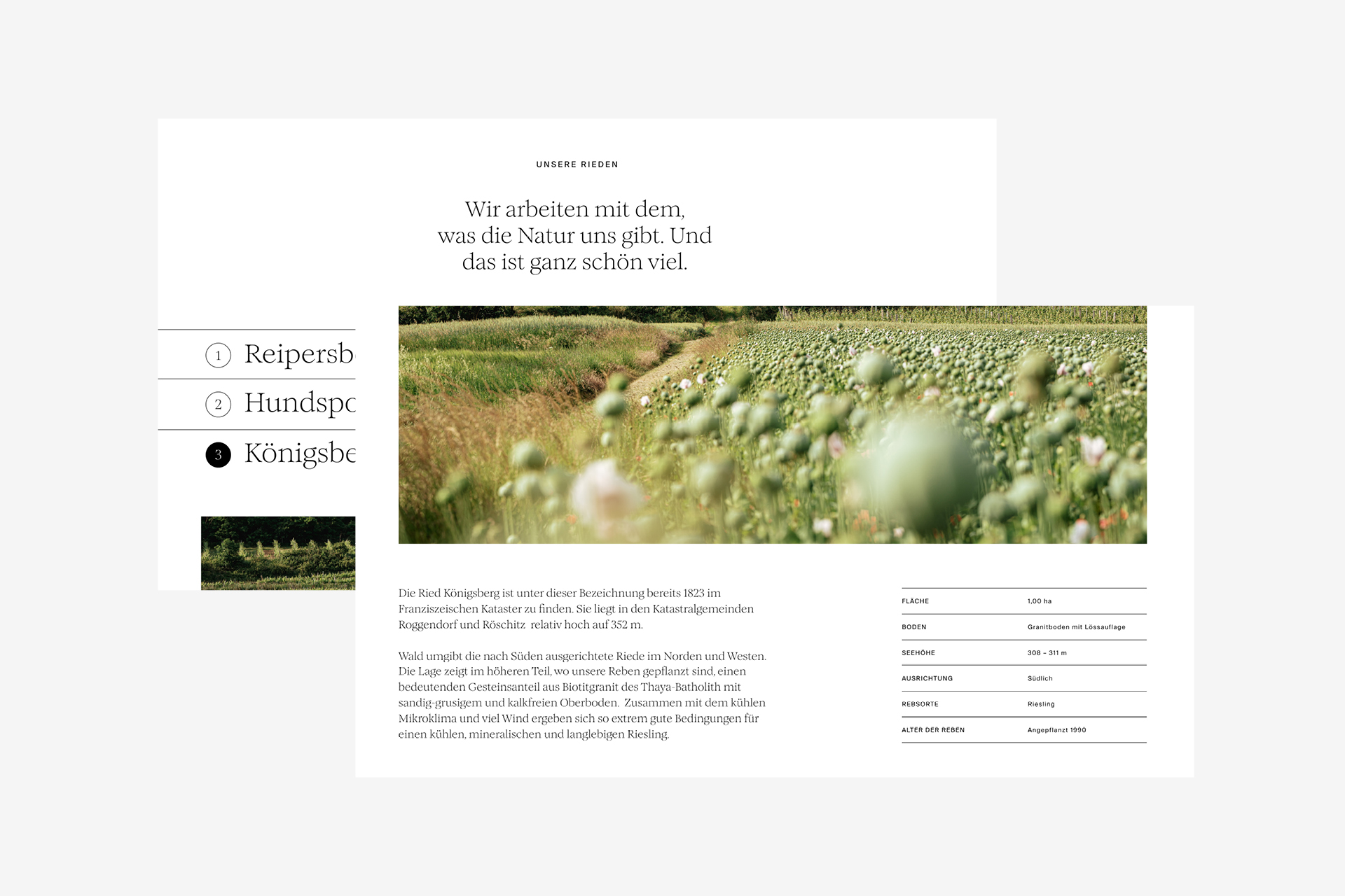 Detail of the different areas of the vinyard, showing photography of the blooming fields and information about the area