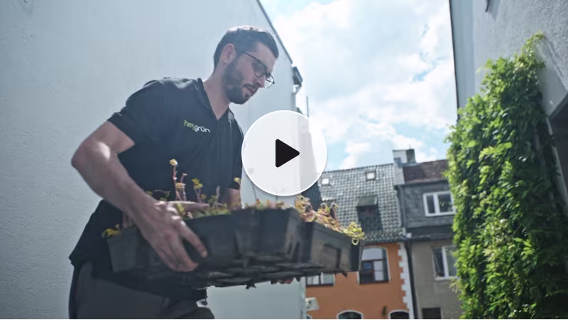 Video Verlegeanleitung: begrüntes Dach selber anlegen mit der DIY-Gründachbox
