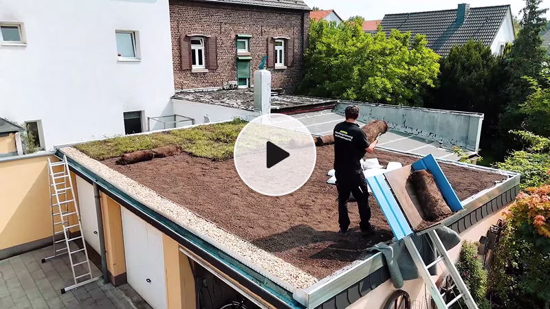 Video-Anleitung: Garagendach begrünen lassen von heygrün