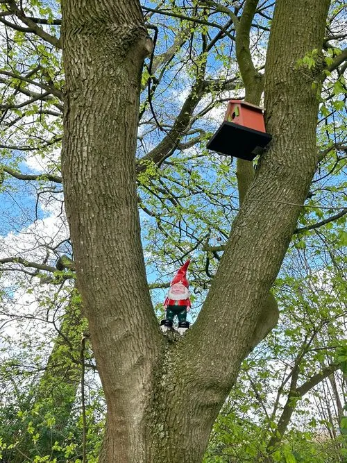 Kabouterpad bij Meerenbos