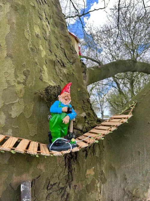 Kabouterbos bij Meerenbos