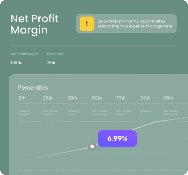 Net profit margin metric graphic visualisation