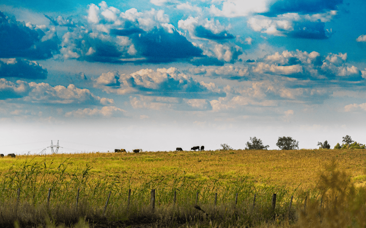 Fencing, Water & Pasture: What Makes Land Livestock-Ready Near Chattanooga