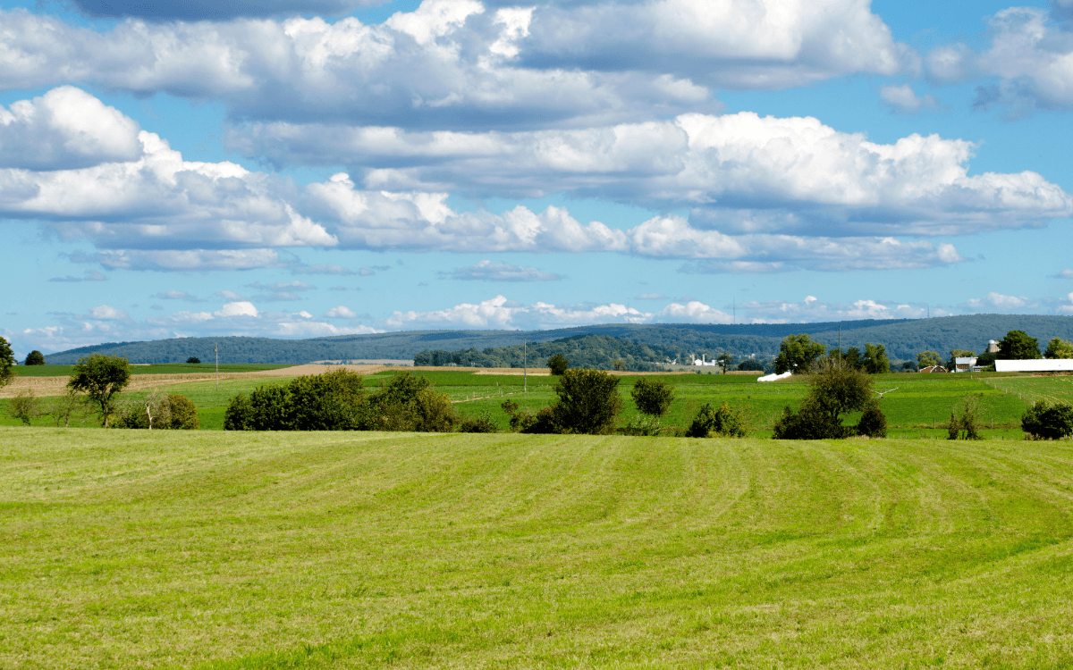 Buying Land Sight Unseen? Tips for Out-of-State Buyers in Tennessee