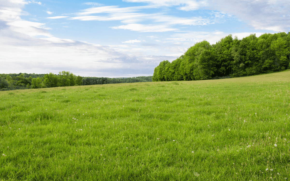 Why Now Is the Perfect Time to Sell Your Land or Country Home in Soddy-Daisy, TN
