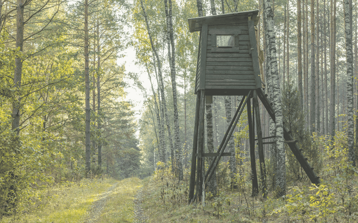 What Makes a Great Tennessee Hunting Property?