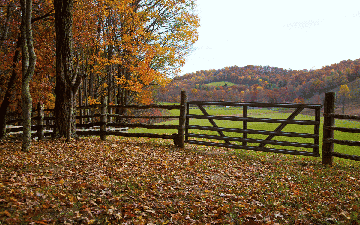 Getting Your Land Ready for Fall in Chattanooga, TN