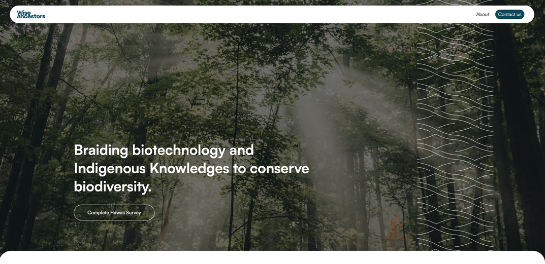 Biocomplexity Survival Alliance logo