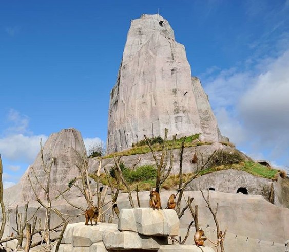 Zoo Paris anniversaire enfants