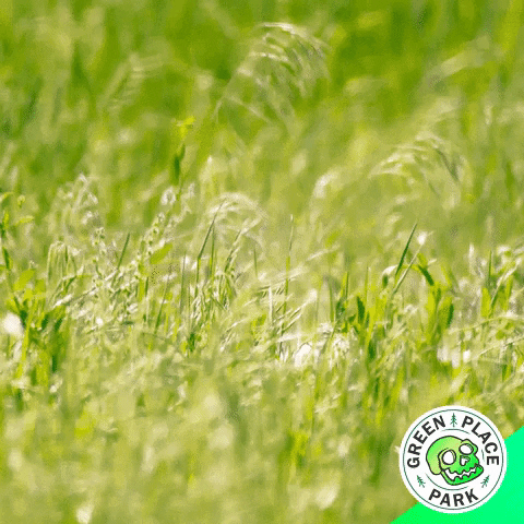 GIF Green place park