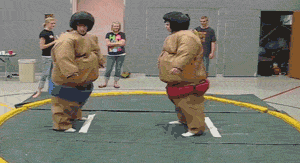 GIF sumo