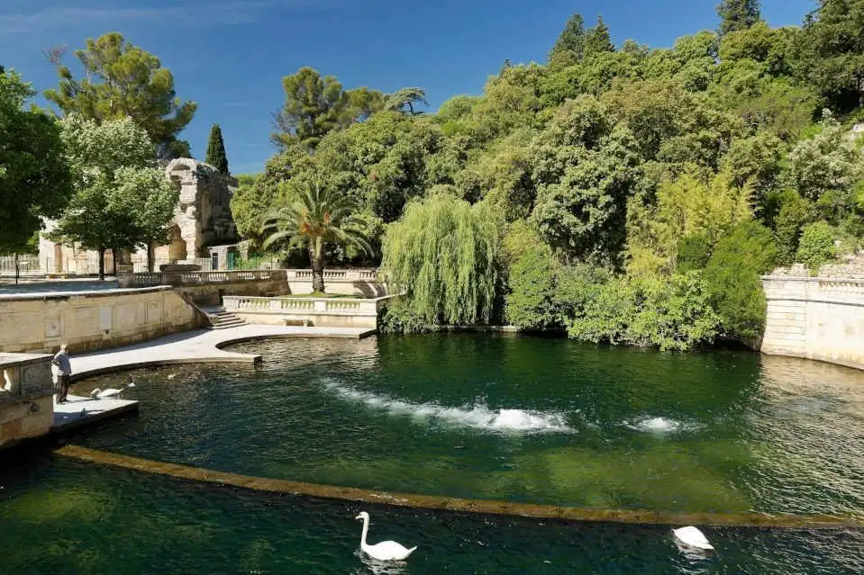 photo des jardins fontaines de Nimes, cygnes, végétation