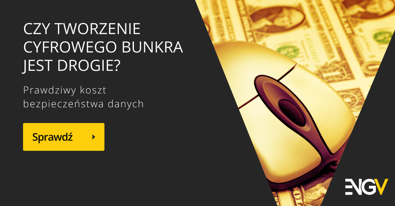 Czy tworzenie cyfrowego bunkra jest drogie? Prawdziwy koszt bezpieczeństwa danych