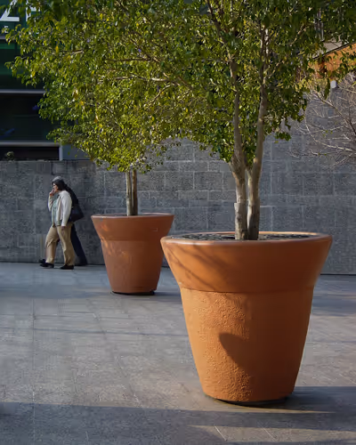 Dos árboles en grandes macetas de terracota sobre un pavimento de piedra junto a una pared de piedra gris, con dos personas caminando al fondo.