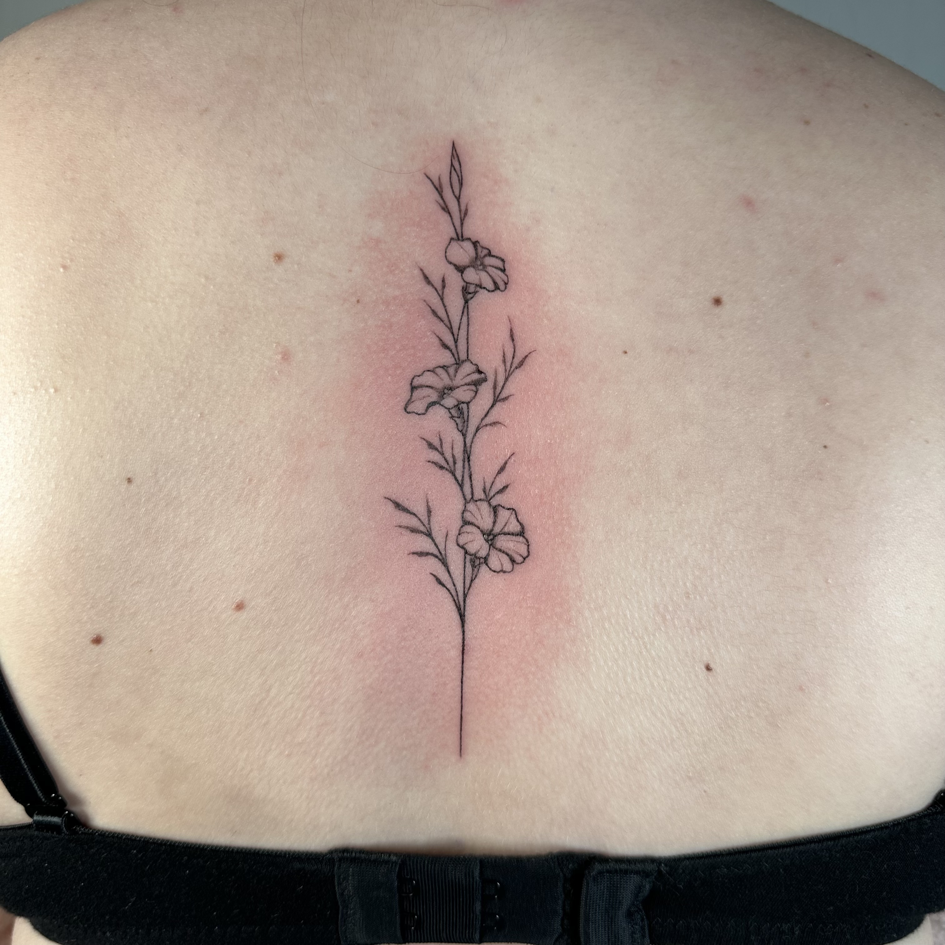 Fine line floral spine tattoo with delicate blossoms and leaves, freshly inked on a woman’s upper back.