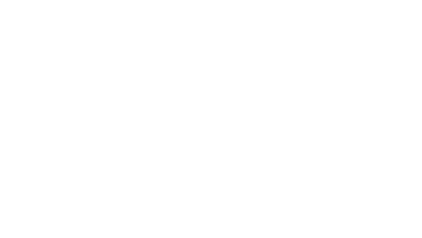 V7 logo