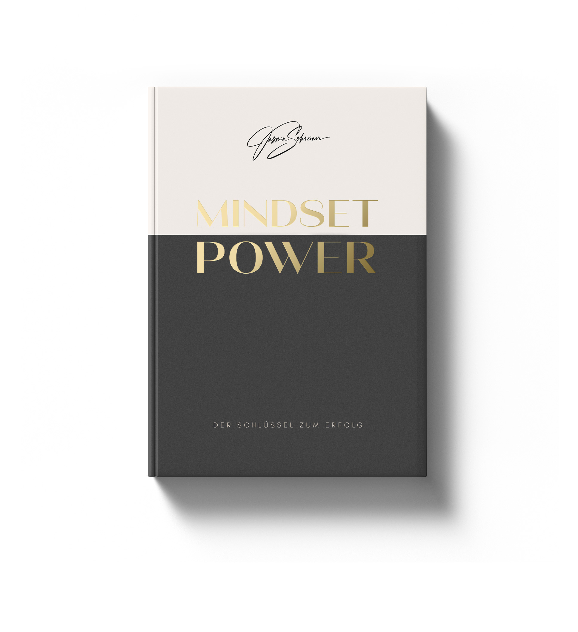 Mindsetpower - Der Schlüssel zum Erfolg Buch