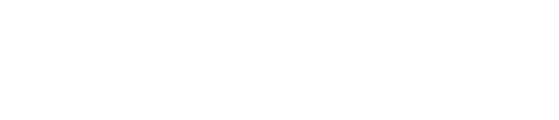 Birddogs logo