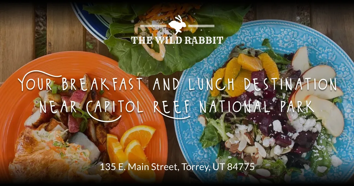 The Wild Rabbit Café cover
