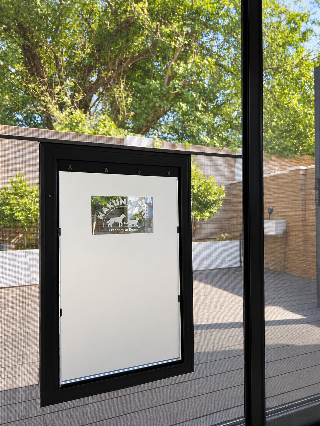 Bifold doors to the garden, Wimbledon flat renovation