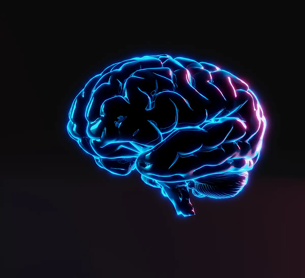 Brain Health During the Aging Process