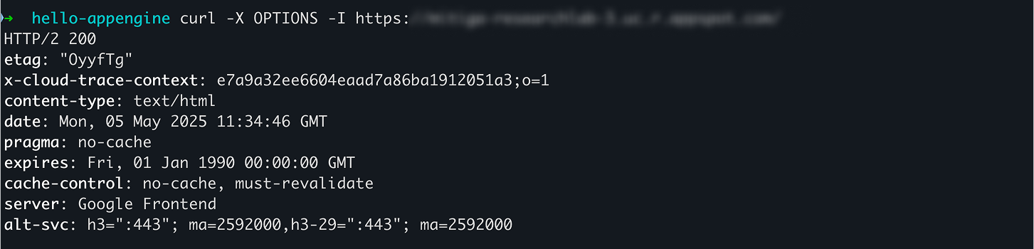 sending an OPTIONS request instead of GET now returns 200 OK.
