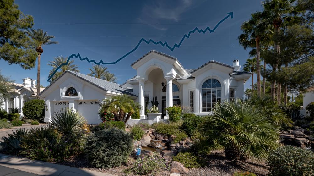 working with a wealth manager