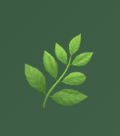 PlantPicker