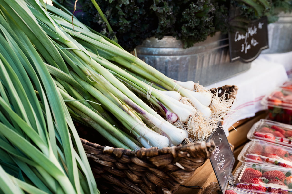Fresh grown garlic fills a basket at the market.