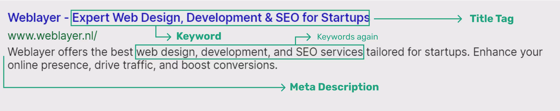 weblayer's result in google anatomy.