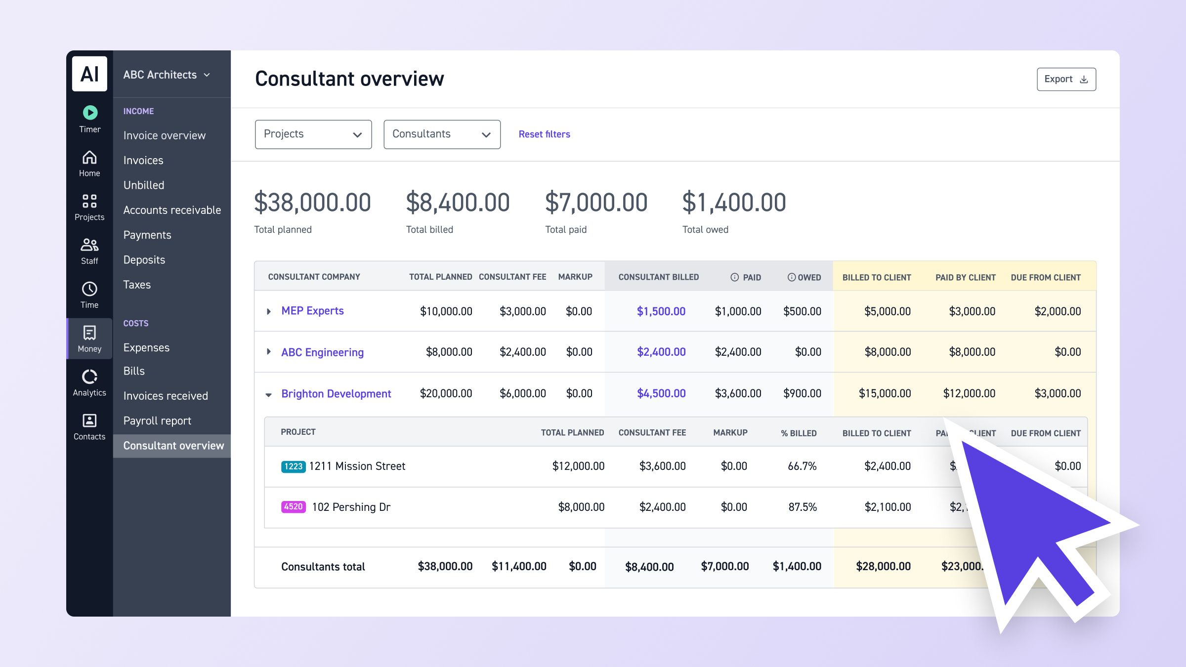 Track Consultant Fees Across All Projects