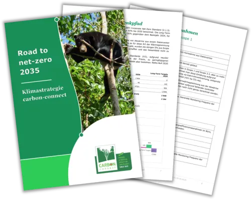 Preview Klimastrategie carbon-connect AG