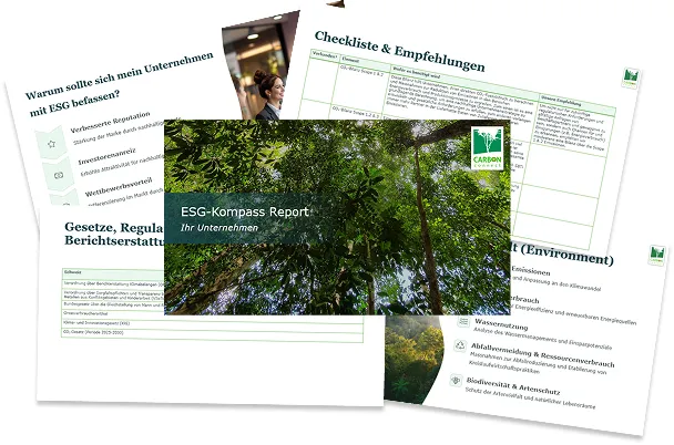 Preview ESG-Kompass Report carbon-connect