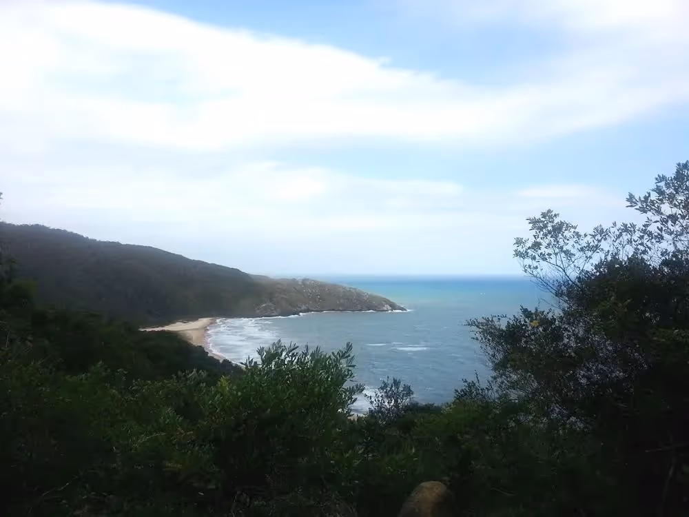 Die Wal-Bucht des Mata Atlantica bei Trilha lagoinha do Leste im Bundesstaat Santa Catarina