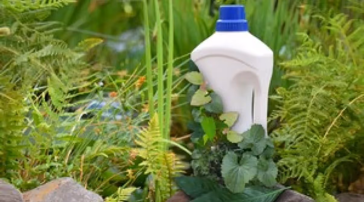 Kompostierbarer Kunststoff – umweltfreundliche Lösung gegen die Plastikflut?